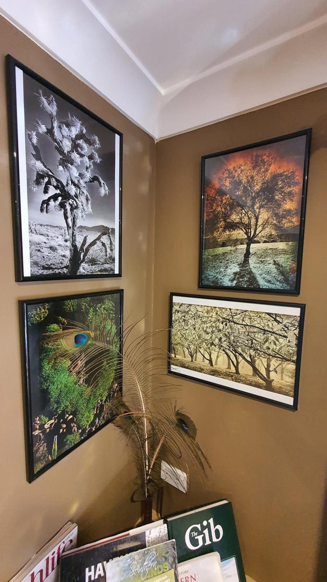 Bowral Road Art Gallery Bed And Breakfast Митагонг Екстериор снимка