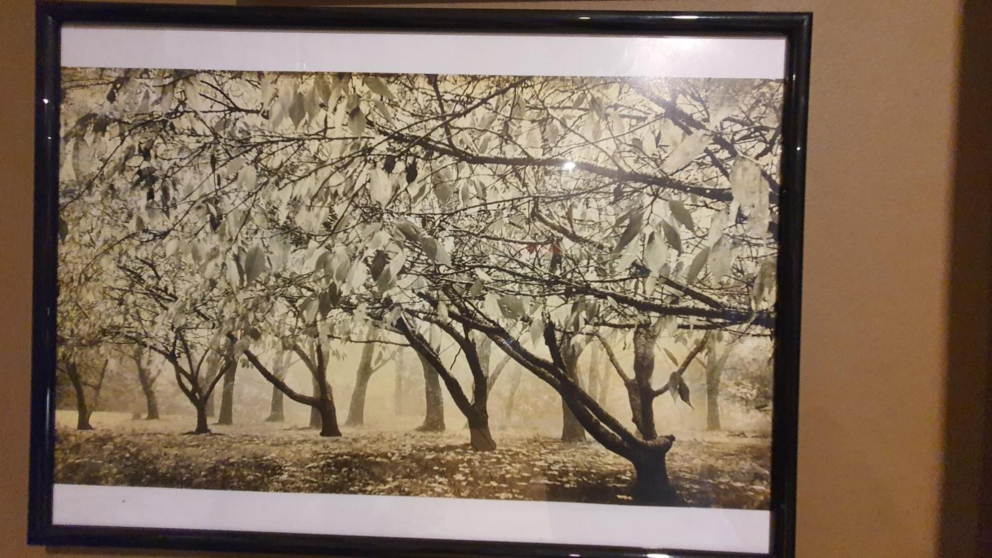 Bowral Road Art Gallery Bed And Breakfast Митагонг Екстериор снимка