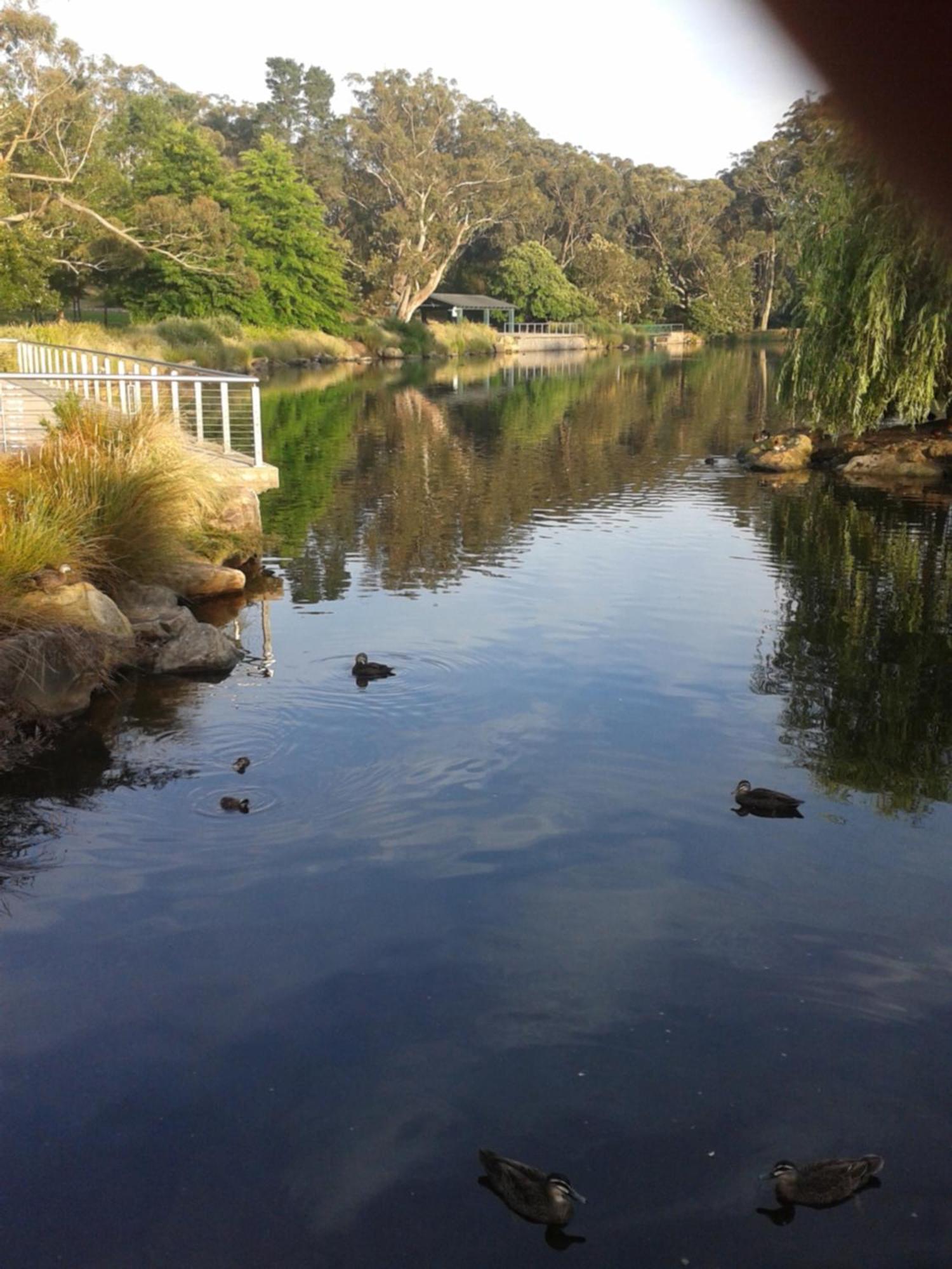 Bowral Road Art Gallery Bed And Breakfast Митагонг Екстериор снимка