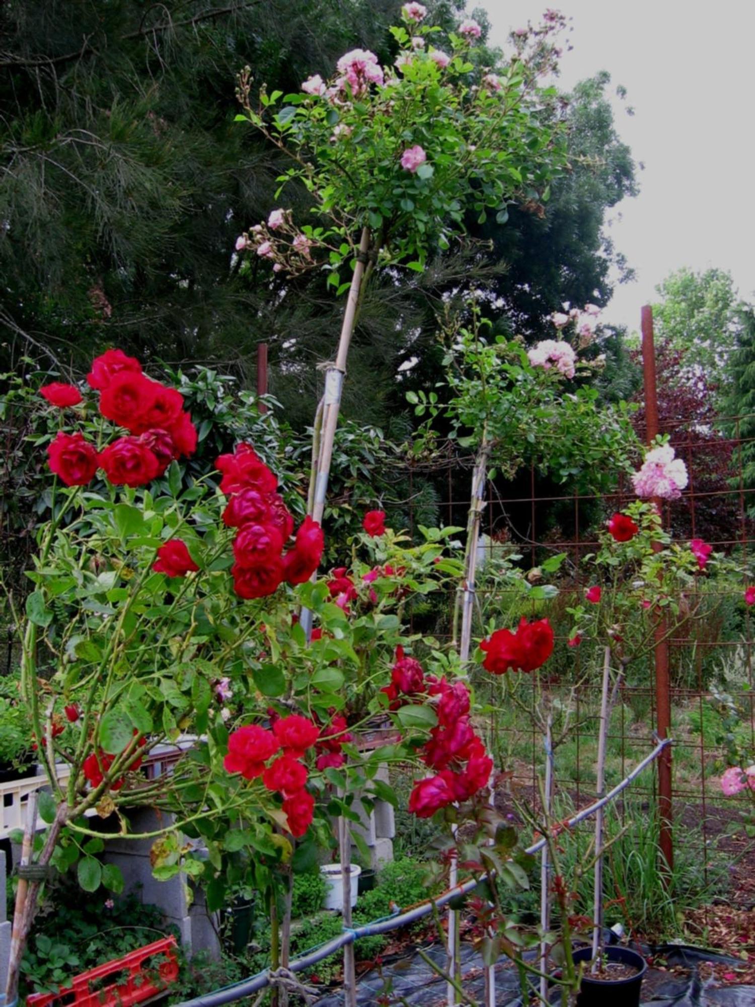 Bowral Road Art Gallery Bed And Breakfast Митагонг Екстериор снимка