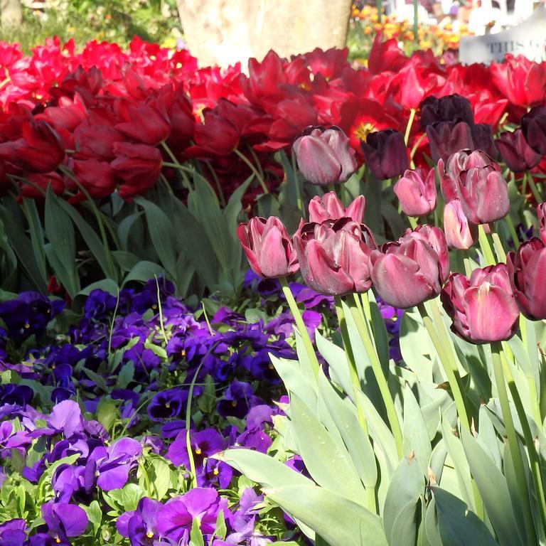 Bowral Road Art Gallery Bed And Breakfast Митагонг Екстериор снимка