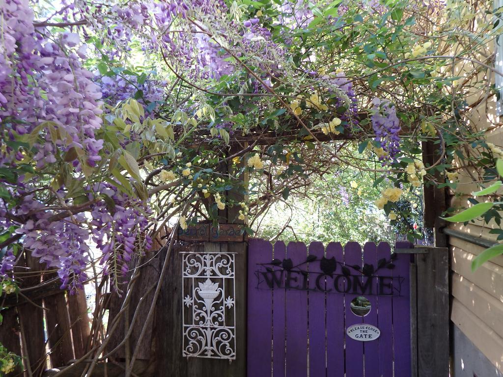 Bowral Road Art Gallery Bed And Breakfast Митагонг Екстериор снимка